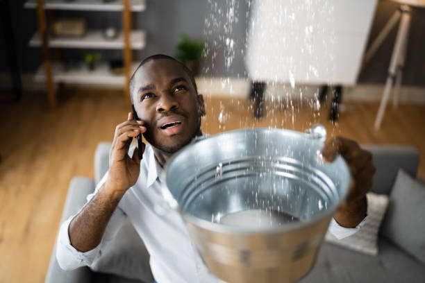 Best Ceiling water damage repair  in San Jose, CA