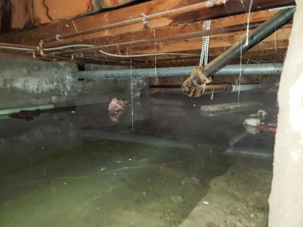 Best Basement water damage restoration  in San Jose, CA