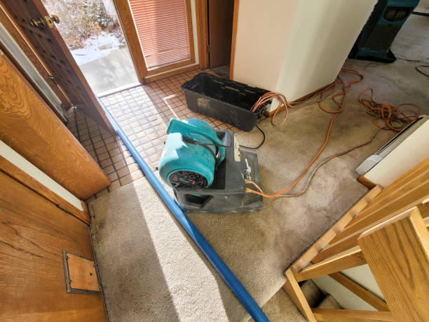 Water damage restoration process in San Jose, CA